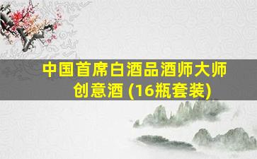 中国首席白酒品酒师大师创意酒 (16瓶套装)